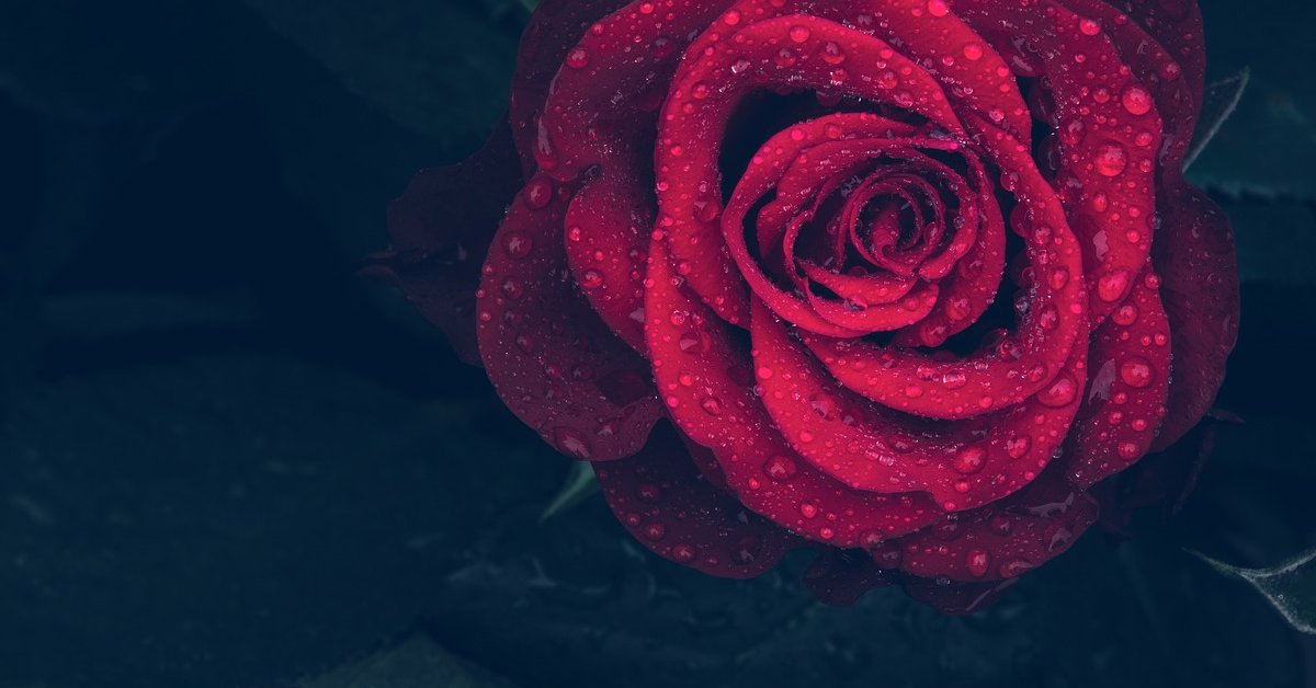 You are currently viewing Sztuka konwersacji online jak być sobą będąc nieśmiałym